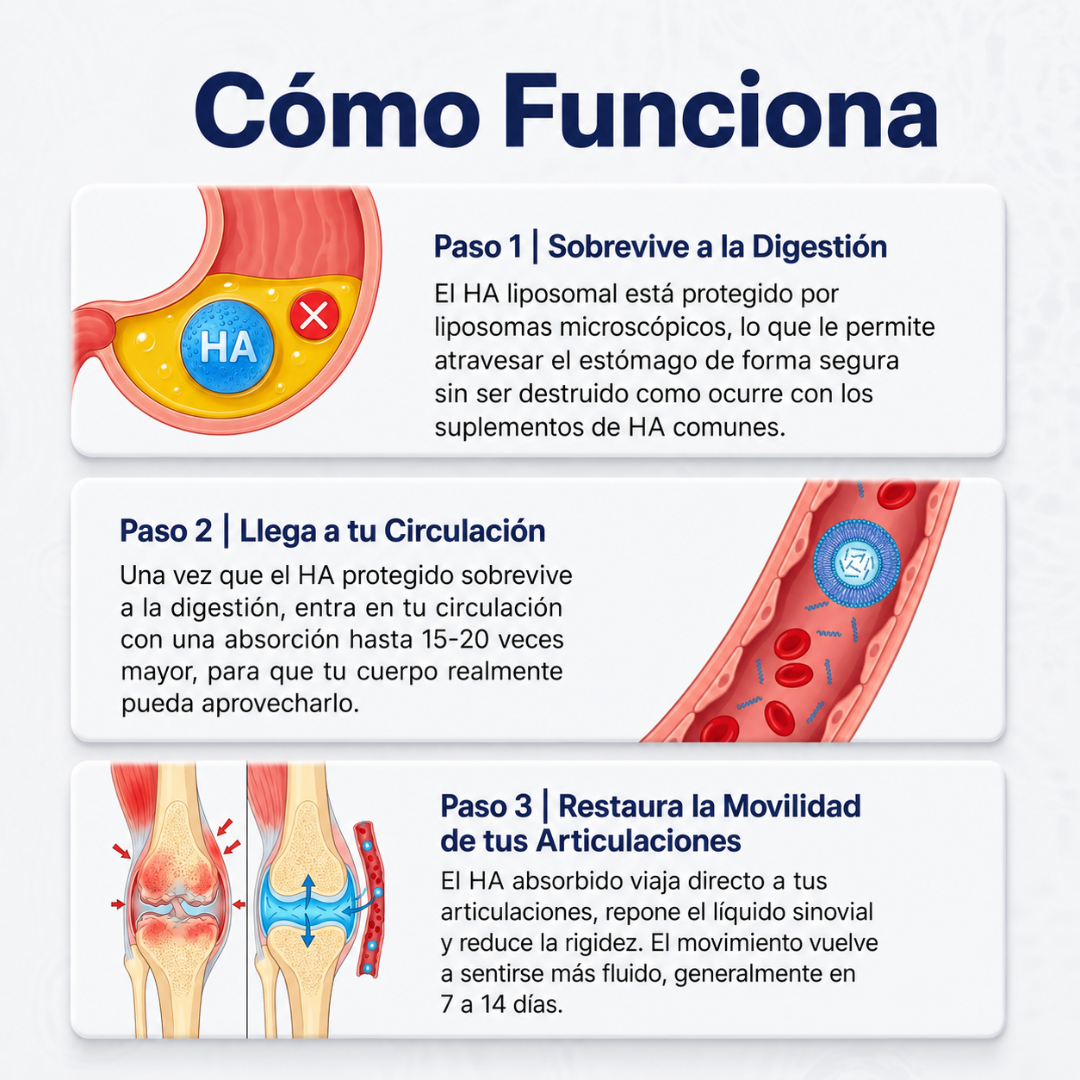 Artivía | Movilidad, comodidad y soporte articular en una sola cápsula.