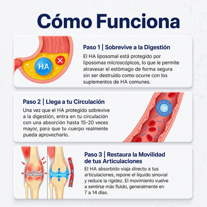 Artivía | Movilidad, comodidad y soporte articular en una sola cápsula.